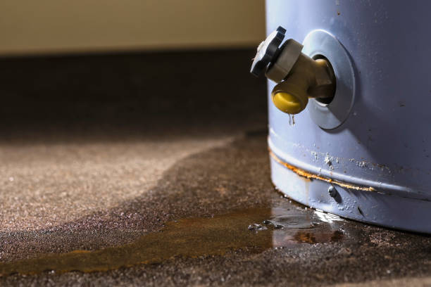Best Flood restoration services  in Todd Creek, CO
