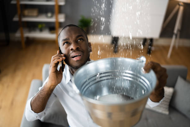 Best Water damage cleanup near me  in Todd Creek, CO