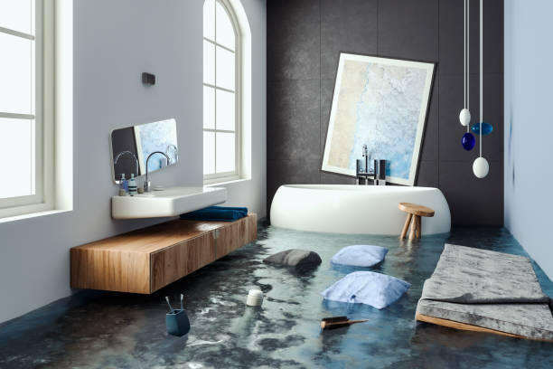 Best Flood damage cleanup  in Todd Creek, CO