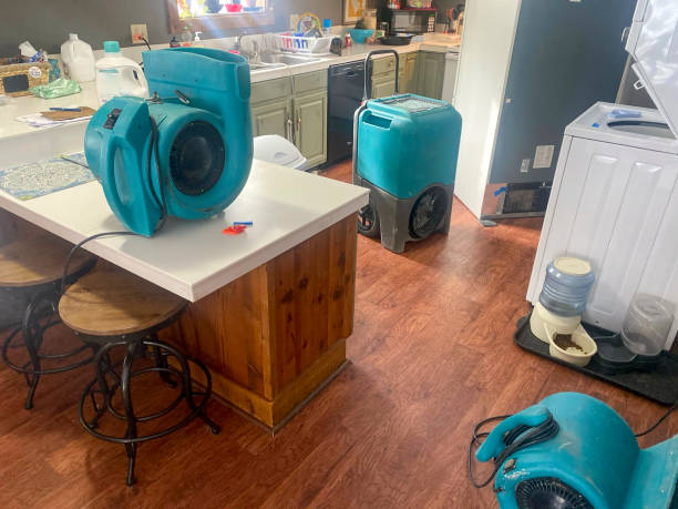 Best Water damage mitigation services  in Todd Creek, CO