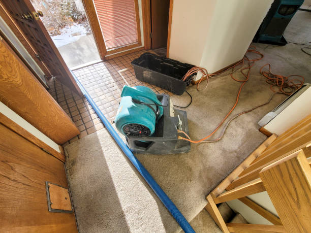Best Flooded house restoration  in Todd Creek, CO