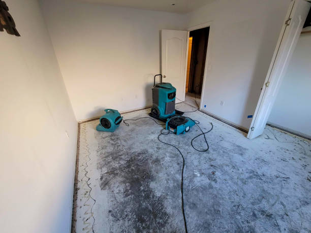 Best Water damage restoration near me  in Todd Creek, CO