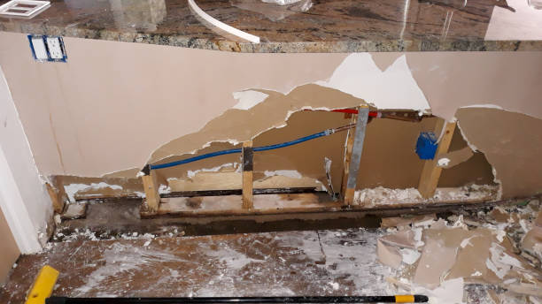 Best Local water damage restoration  in Todd Creek, CO