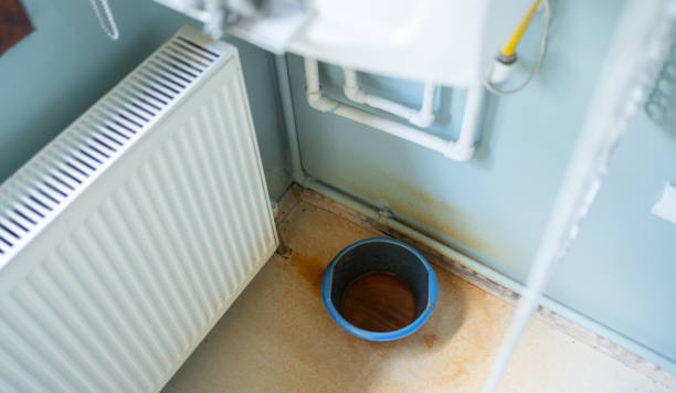Water damage restoration mold remediation in CO