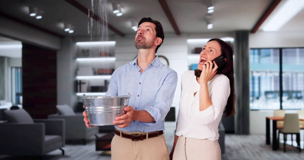 Best Water damage restoration specialists  in Todd Creek, CO